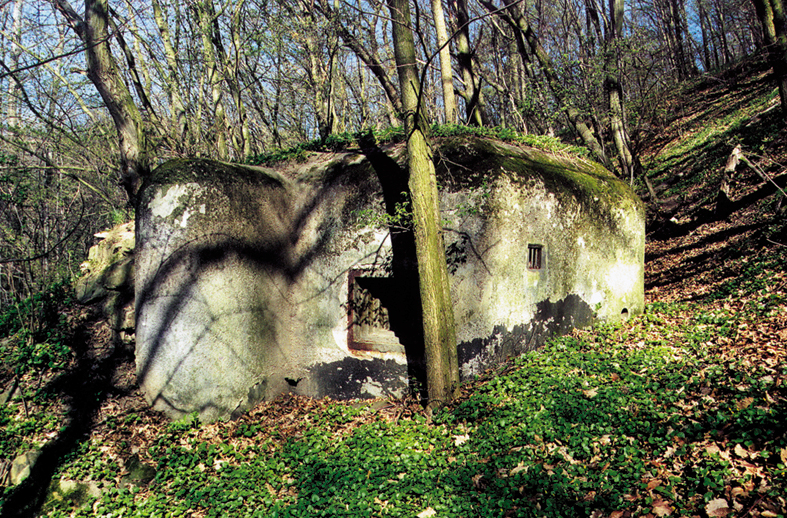 Bunker im Wald