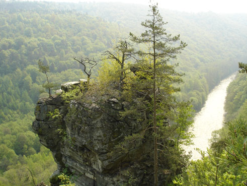 Aussicht auf Thaya mit Bäumen und Felsen