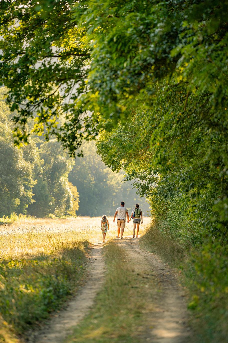 Besucherinnen und Besucher beim Wandern