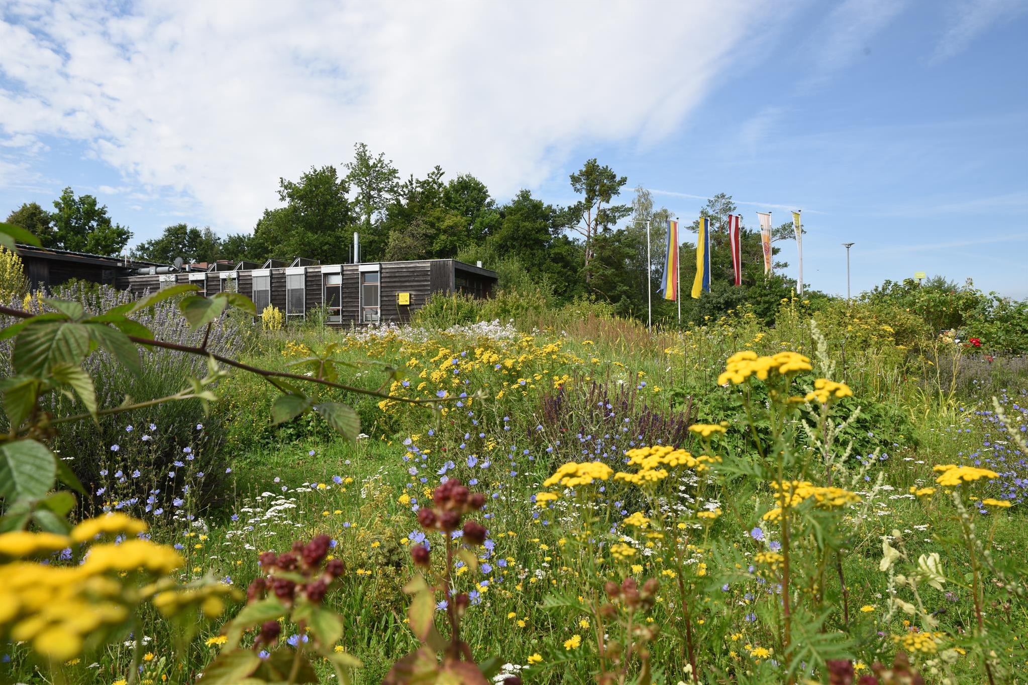 Bauern- und Kräutergarten