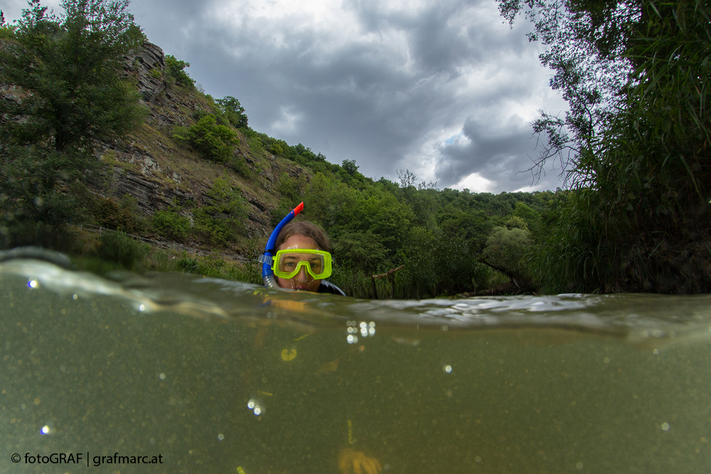 Unsere Naturreporter scheuen keine Mühen und tauchen auch mal ins kalte Wasser der Thaya ab.