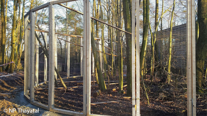 Das Wildkatzengehege im NP Thayatal ist jetzt um ein gutes Stück Wald größer geworden.