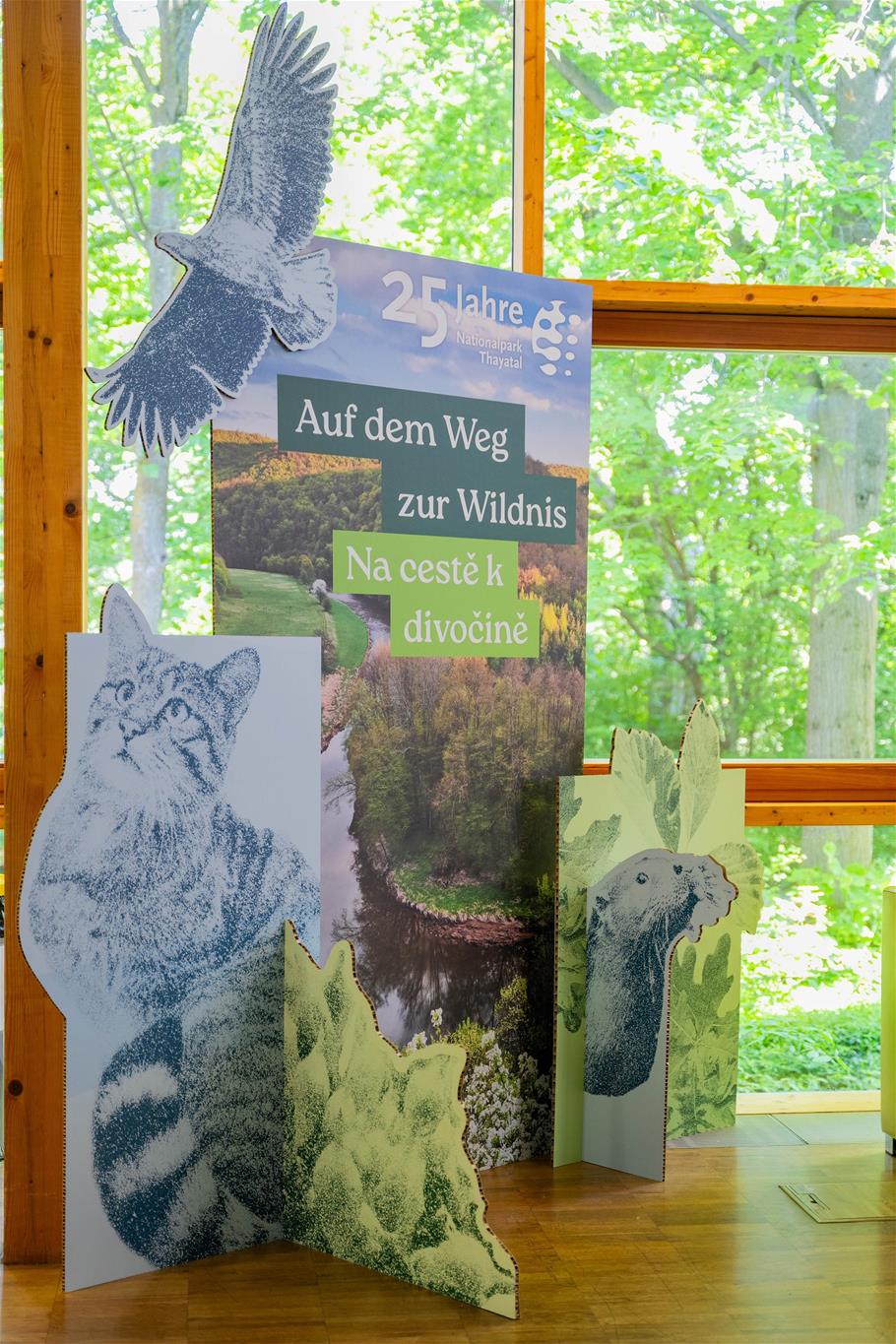 Informationstafel der Sonderausstellung mit der Überschrift "25 Jahre Thayatal - auf dem Weg zur Wildnis"