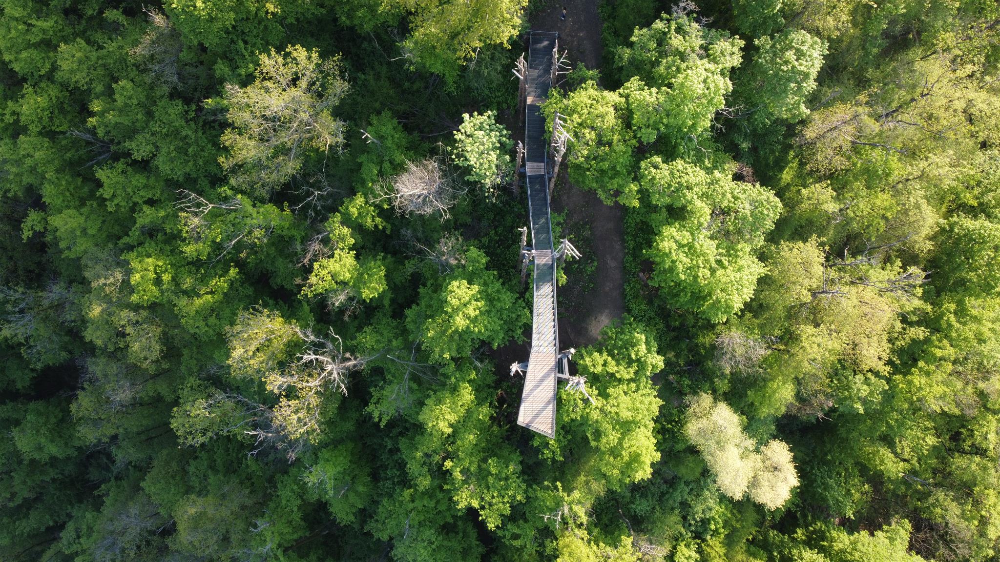 Aussichtswarte von oben