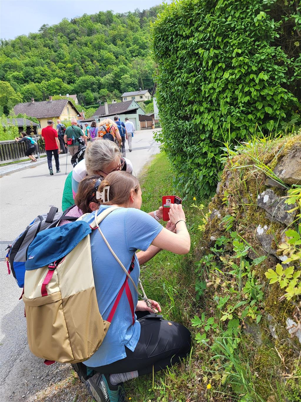 Fotografierende Besucher in Hardegg