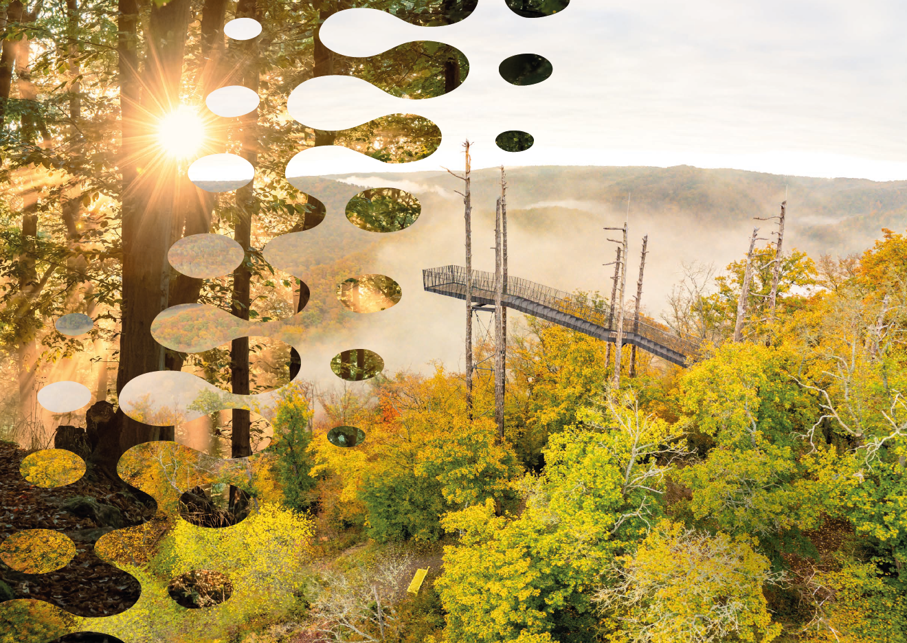 Titelblatt des Programmhefts 2026 mit Foto von der Aussichtswarte im Herbstwald